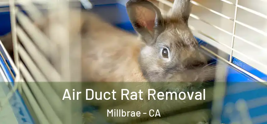  Air Duct Rat Removal Millbrae - CA