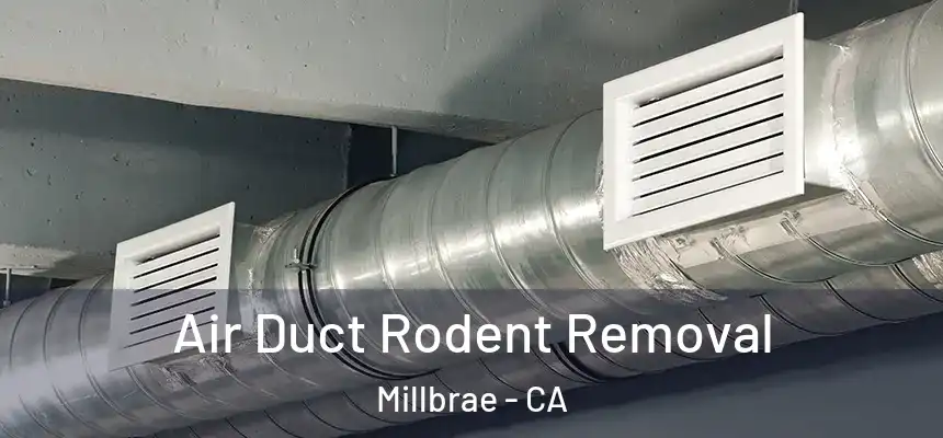 Air Duct Rodent Removal Millbrae - CA