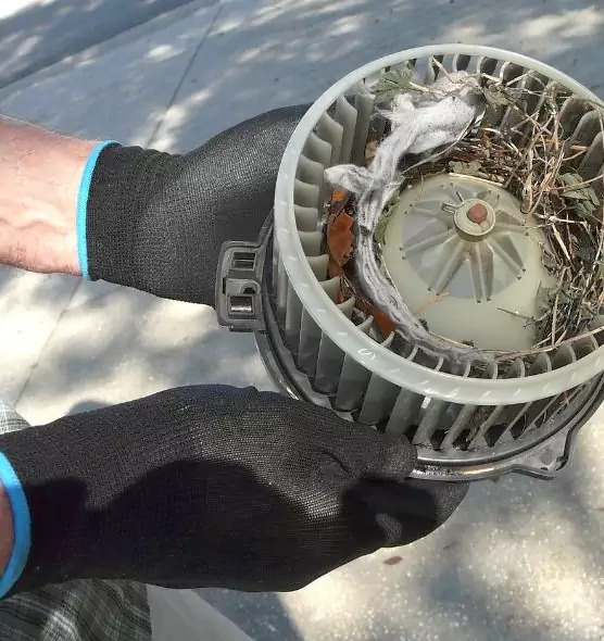 About Air Duct Mice Removal in Millbrae, CA