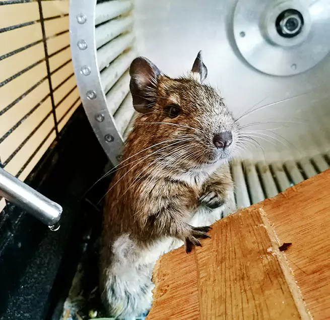 Why Homeowners & Businesses Trust Us Millbrae, CA?