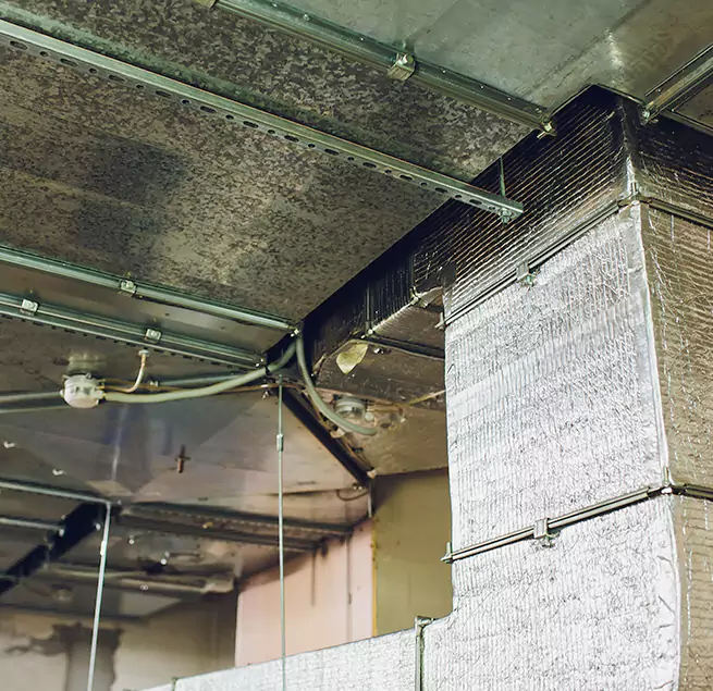 Why Homeowners & Businesses Trust Us in Millbrae, CA?